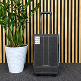 Audioport V8 transportabel aktiv høyttaler 250 W med 2 mikrofoner