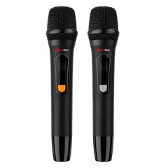 Audioport V8 transportabel aktiv høyttaler 250 W med 2 mikrofoner