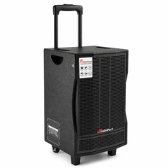 Audioport V8 transportabel aktiv høyttaler 250 W med 2 mikrofoner