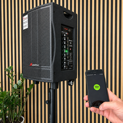 Audioport V8 transportabel aktiv høyttaler 250 W med 2 mikrofoner