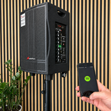 Audioport V8 transportabel aktiv høyttaler 250 W med 2 mikrofoner