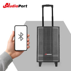 Audioport V8 transportabel aktiv høyttaler 250 W med 2 mikrofoner