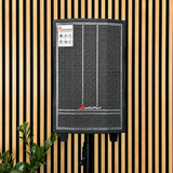 Audioport V8 transportabel aktiv høyttaler 250 W med 2 mikrofoner