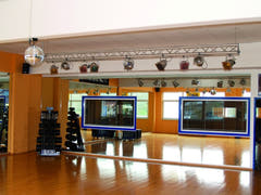 Disco ball Motor for (40 cm, 4 kg)