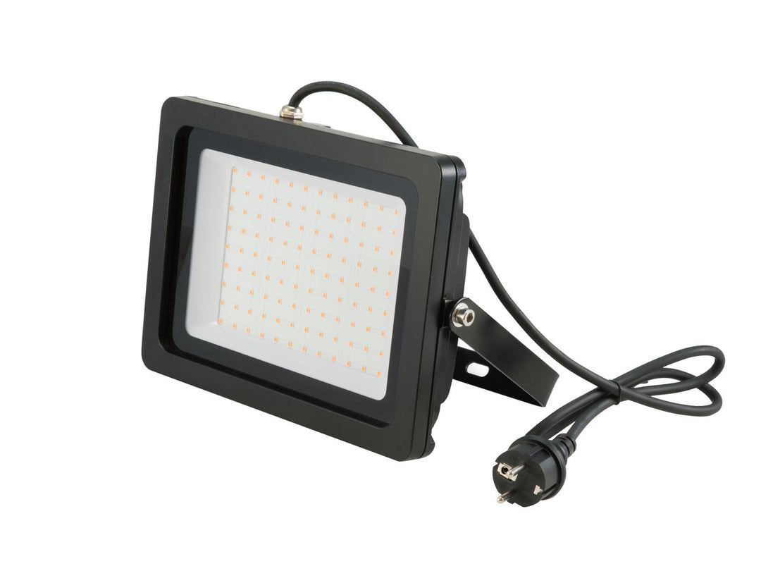 EUROLITE LED IP FL-100 SMD oransje