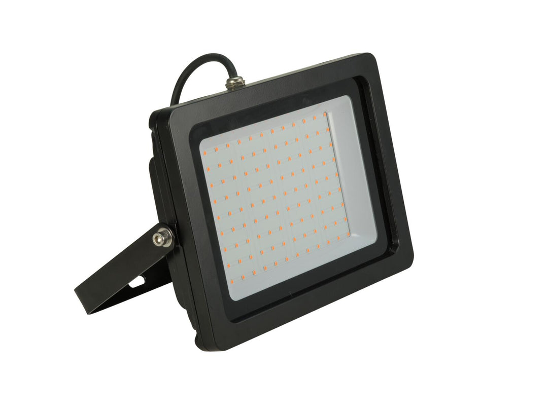 EUROLITE LED IP FL-100 SMD oransje