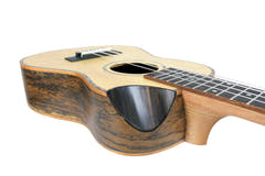Reno RU380CE konsertukulele (naturlig)