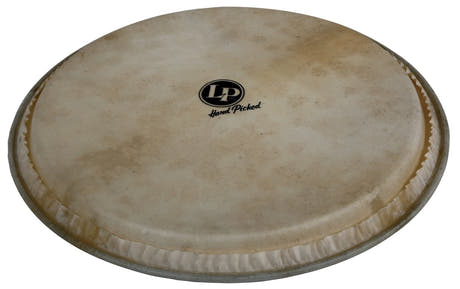 Latin Perkusjon Djembe-skinn Hand Picked - 12,5" geiteskinn (LP961)