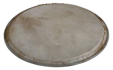 Latin Percussion Perkusjonskinn Plenera - 12" (WB505C)