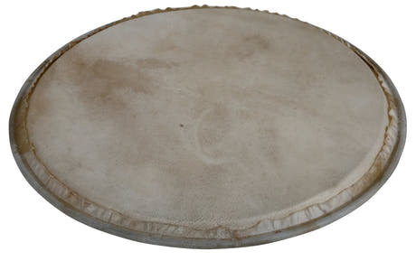 Latin Percussion Perkusjon-skinn Plenera - 8" (WB505A)