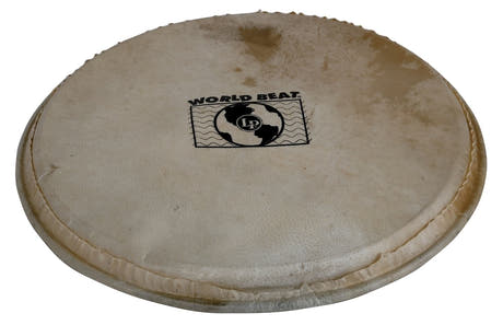 Latin Perkusjon-skinn Plenera - 10" (WB505B)