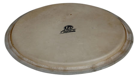 Latin Percussion Djembe-skinn Aspire - 12,5" geiteskinn (LPA630A)