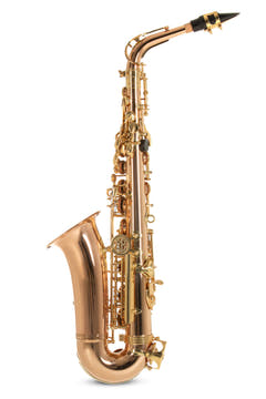 Roy Benson Eb-Alto Saxophone Roy Benson AS202G - AS-202G