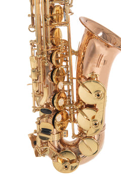 Roy Benson Eb-Alto Saxophone Roy Benson AS202G - AS-202G