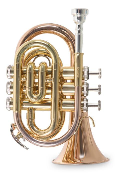 Roy Benson Bb-pocket-trompet Roy Benson PT-101G - PT-101G