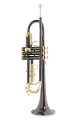 Roy Benson Bb-trompet Roy Benson TR-101K - TR-101K
