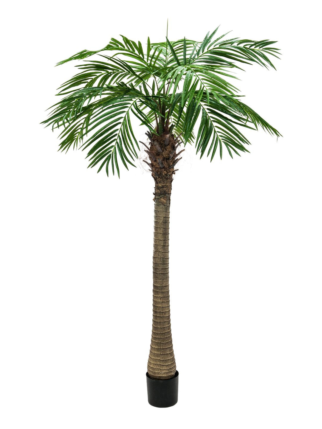 Kunstig Phoenix Palmetre Luxor (300cm)