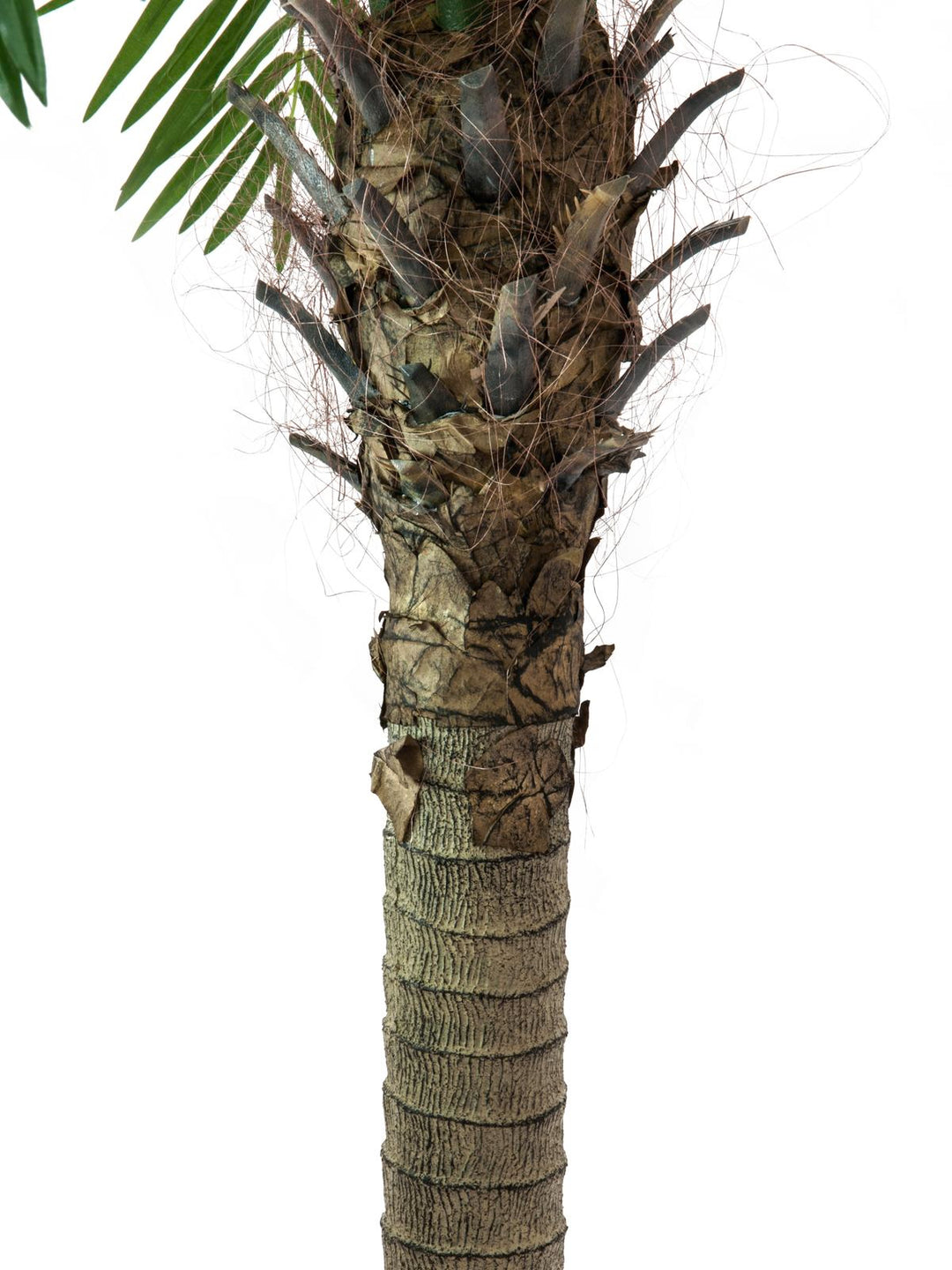 Kunstig Phoenix Palmetre Luxor (300cm)