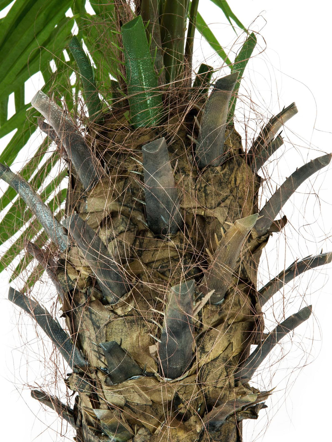 Kunstig Phoenix Palmetre Luxor (300cm)