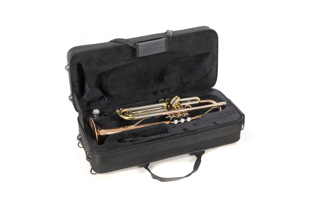 Roy Benson Bb-trompet Roy Benson TR-202G - TR-202G