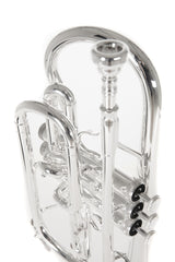 Roy Benson Bb-kornett Roy Benson CR-202S - CR-202S