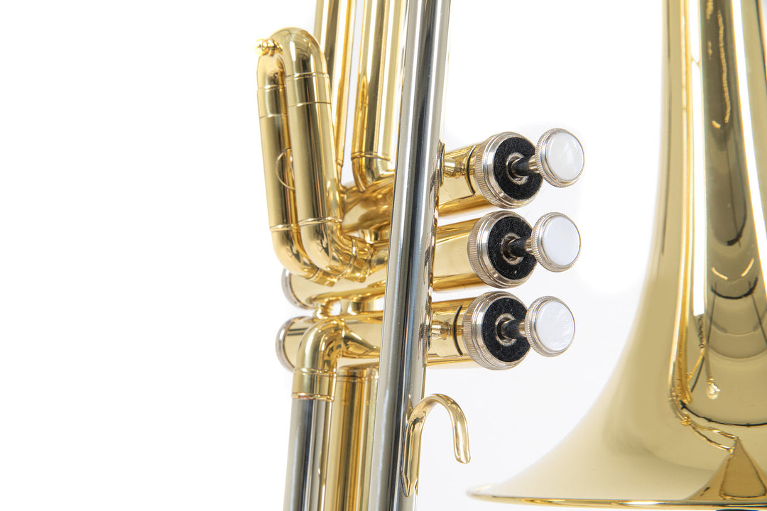 Roy Benson Bb-ventil Trombone Roy Benson VT-227 - VT-227