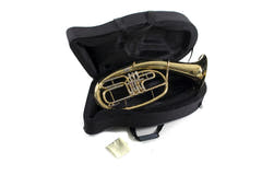 Roy Benson Bb-tenorhorn Roy Benson TH-202 - TH-202