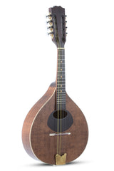 GEWA flatmandolin Pro Arte Antique - Antique