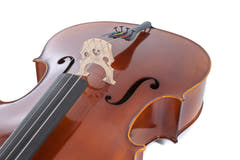 GEWA Allegro cello 7/8, satt opp