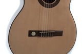 GEWA klassisk gitar Pro Arte GC 210 A - 4/4 størrelse