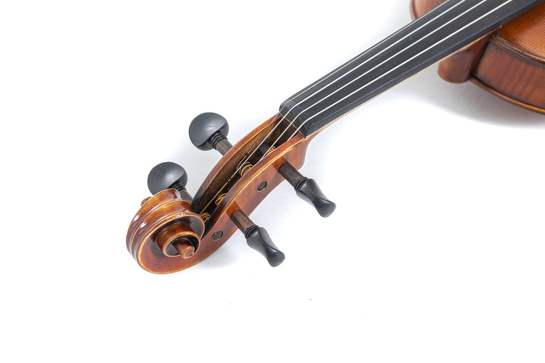 GEWA Fioliner Maestro 2 - 1/2 (Spilleklar inkl. formstøpt etui, Massaranduba-bue og Larsen Aurora-strenger, transportsikret)