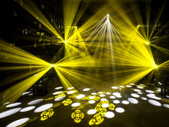 Eurolite LED CAT-80 Beam Lyseffekt