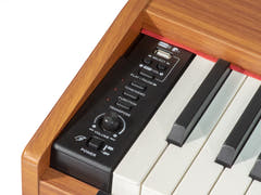 Grooveland DDP-140 El Piano (Mørk) Bundle