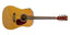 Grooveland Western Gitar med pickup