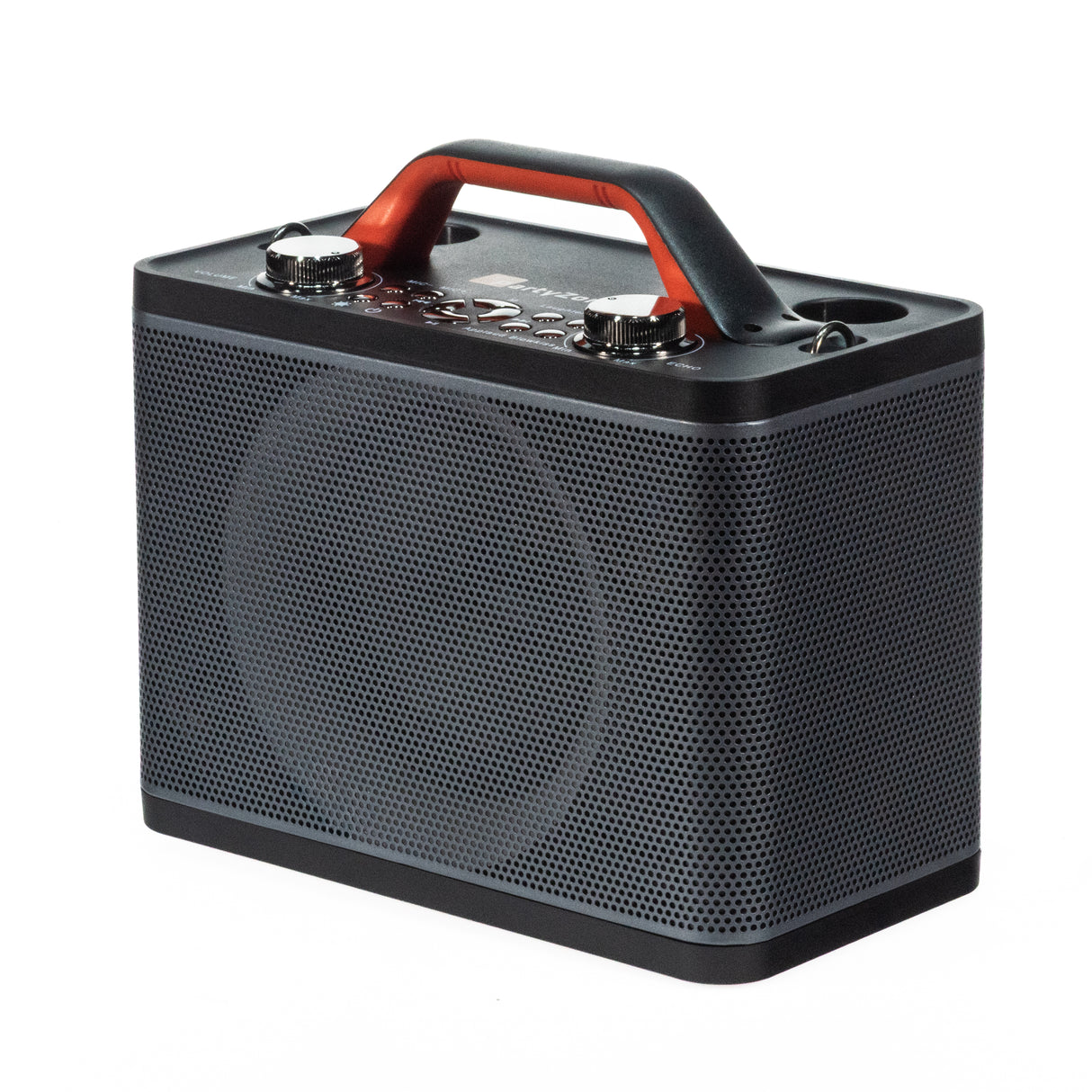 Karaoke-høyttaler med 2 mikrofoner (Svart)