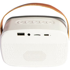 Ibiza Smart Karaoke Bluetooth-høyttaler med 2 trådløse mikrofoner