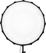 NanLite Satellite Softbox for Forza 60