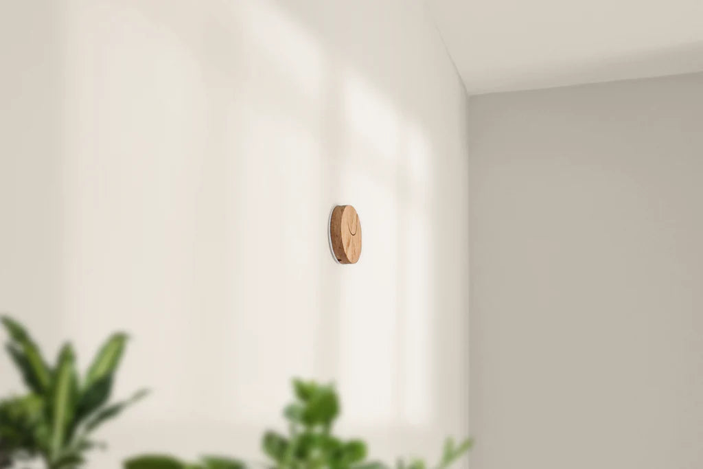 Openhagen HangWithMe Ukulele Hanger (eik)