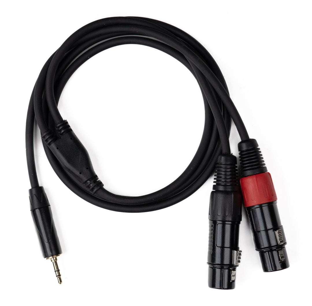 MINIJACK 3,5mm TRS Hann til 2x XLR Hun (1,3m)
