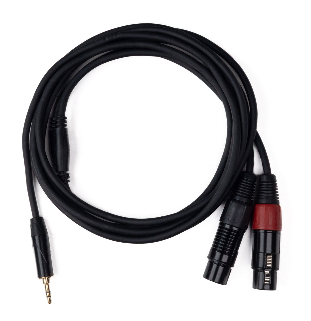 MINIJACK 3,5mm TRS Hann til 2x XLR Hun (3m)