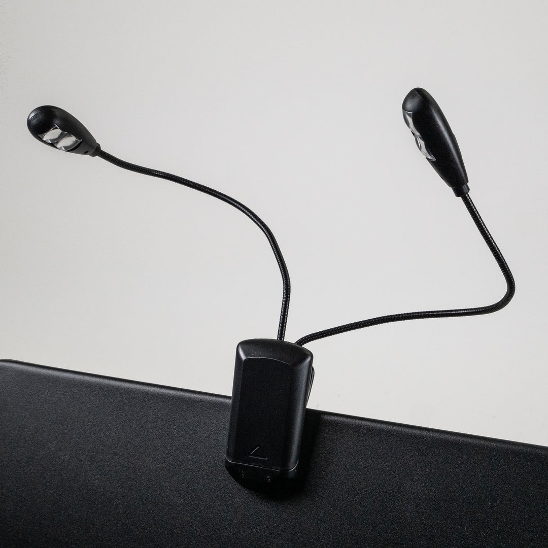 Grooveland Dual LED music light