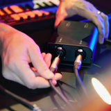 Palmer RIVER kyll - Passiv 2-kanals linjeisoleringsboks