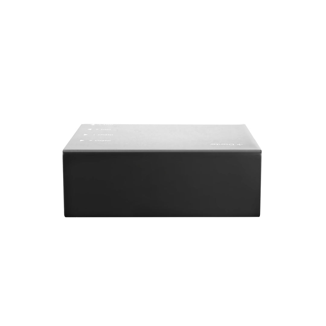 Palmer RIVER lahn - 2x2 Dante®-interface