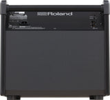 Roland PM-200 Stage Monitor