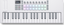 Novation Launchkey MINI 37 MK4 Tastatur (Hvit)