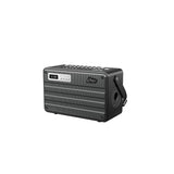 C.Perkins Roady FL Active Street Speaker