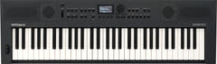 Roland GO:KEYS 5 startpakke ( Graphite )