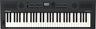Roland GO:KEYS 5 Keyboard ( Graphite )