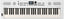 Roland GO:KEYS 5 Keyboard (hvit)