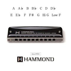 Hammond HA-20 Munnspill (A) 
